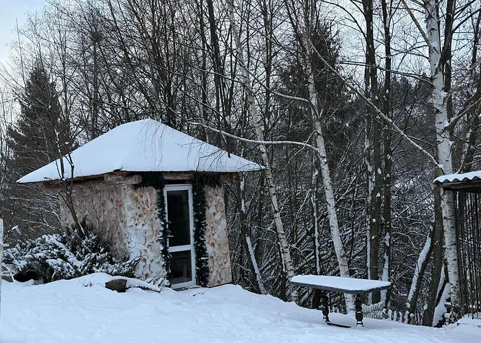 度假居 Karpaty *