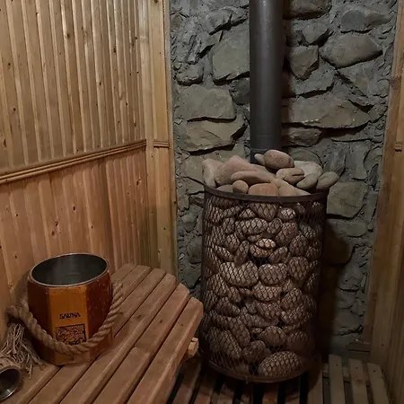 Karpaty 度假居 *